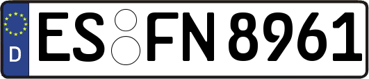 ES-FN8961