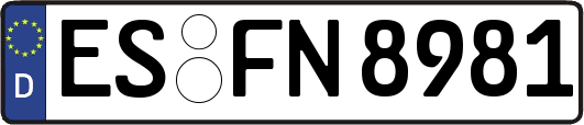 ES-FN8981
