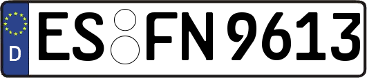 ES-FN9613