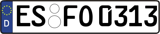ES-FO0313