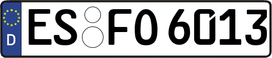 ES-FO6013