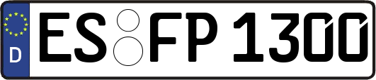 ES-FP1300