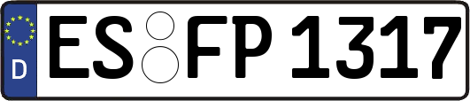 ES-FP1317