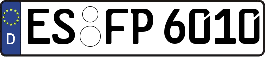 ES-FP6010