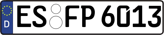 ES-FP6013