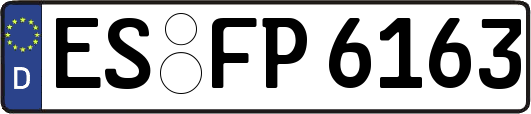 ES-FP6163
