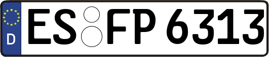 ES-FP6313