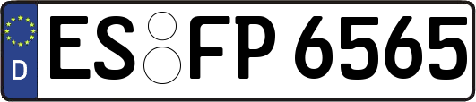 ES-FP6565