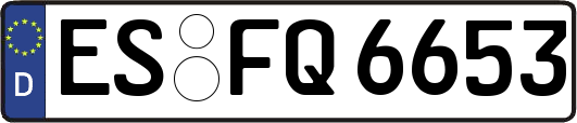 ES-FQ6653