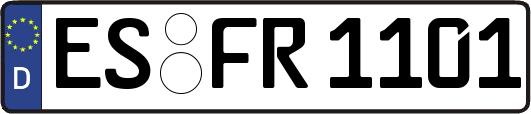 ES-FR1101