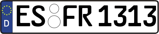 ES-FR1313