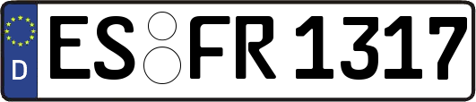 ES-FR1317