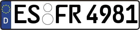 ES-FR4981