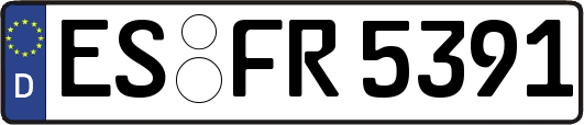 ES-FR5391