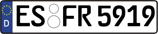 ES-FR5919
