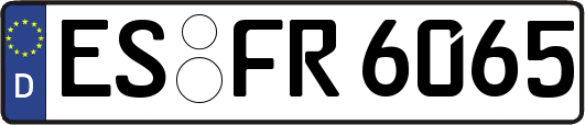 ES-FR6065