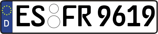 ES-FR9619