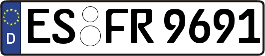 ES-FR9691