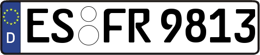 ES-FR9813