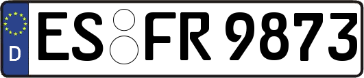 ES-FR9873