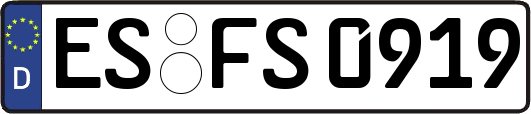 ES-FS0919