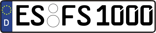 ES-FS1000