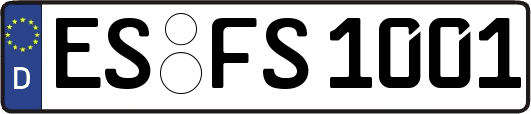 ES-FS1001