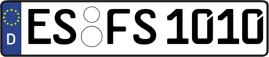 ES-FS1010
