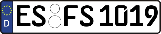 ES-FS1019