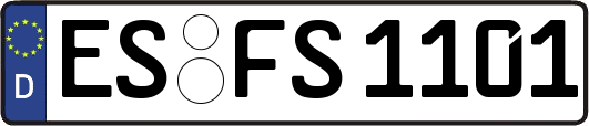 ES-FS1101
