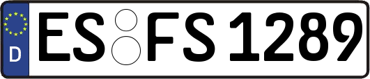 ES-FS1289