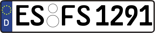 ES-FS1291