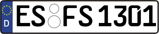 ES-FS1301