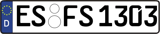 ES-FS1303