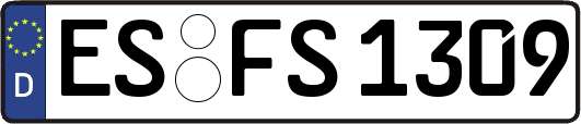 ES-FS1309