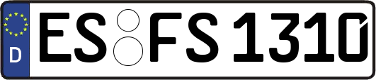 ES-FS1310