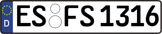 ES-FS1316