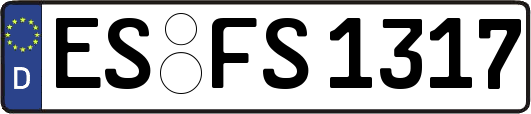 ES-FS1317