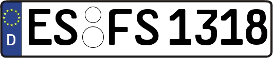 ES-FS1318