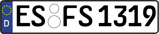 ES-FS1319