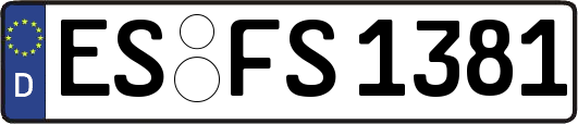 ES-FS1381