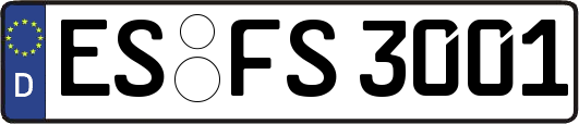 ES-FS3001
