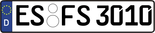 ES-FS3010