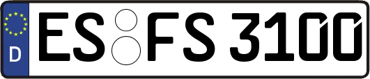 ES-FS3100