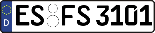 ES-FS3101