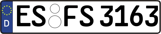 ES-FS3163