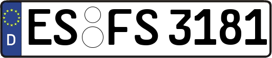 ES-FS3181