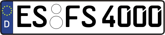 ES-FS4000