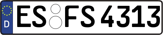 ES-FS4313