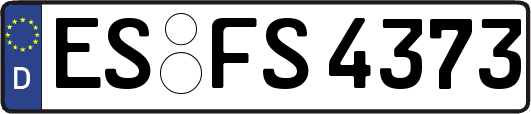 ES-FS4373